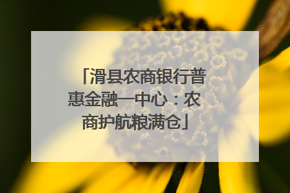 滑县农商银行普惠金融一中心：农商护航粮满仓