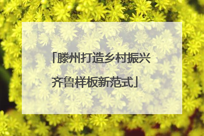滕州打造乡村振兴齐鲁样板新范式