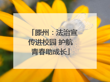 滕州：法治宣传进校园 护航青春助成长
