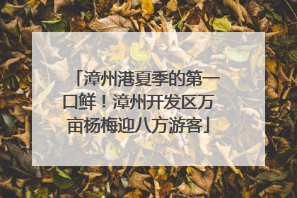 漳州港夏季的第一口鲜！漳州开发区万亩杨梅迎八方游客