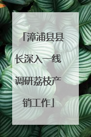 漳浦县县长深入一线调研荔枝产销工作