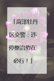 菏泽牡丹区交警：违停整治势在必行！