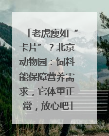 老虎瘦如“卡片”？北京动物园：饲料能保障营养需求，它体重正常，放心吧