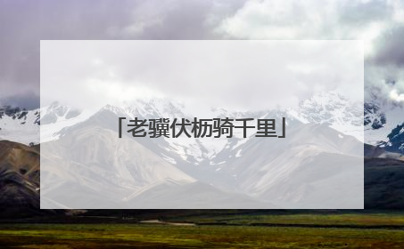 老骥伏枥骑千里