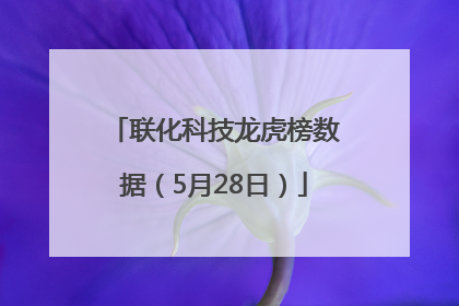 联化科技龙虎榜数据（5月28日）