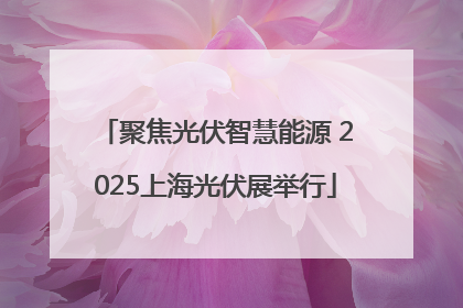 聚焦光伏智慧能源 2025上海光伏展举行
