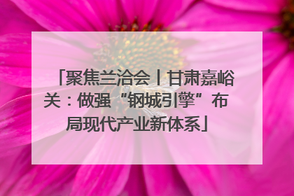 聚焦兰洽会丨甘肃嘉峪关：做强“钢城引擎”布局现代产业新体系