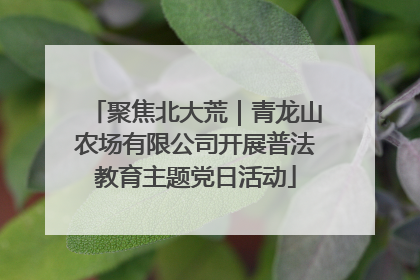 聚焦北大荒｜青龙山农场有限公司开展普法教育主题党日活动