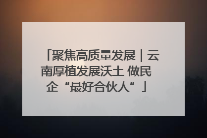 聚焦高质量发展｜云南厚植发展沃土 做民企“最好合伙人”