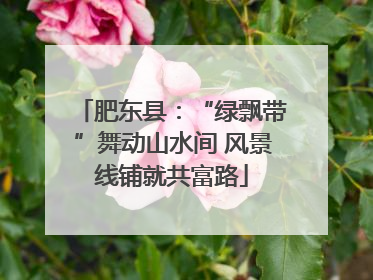肥东县：“绿飘带”舞动山水间 风景线铺就共富路