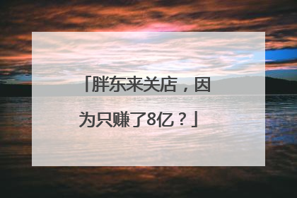 胖东来关店，因为只赚了8亿？