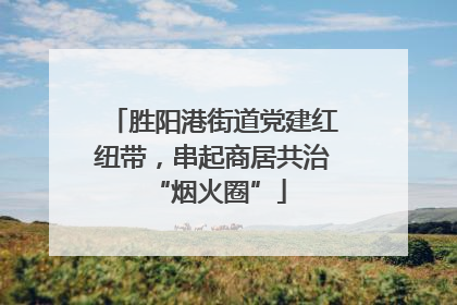 胜阳港街道党建红纽带，串起商居共治 “烟火圈”