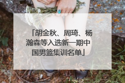 胡金秋、周琦、杨瀚森等入选新一期中国男篮集训名单
