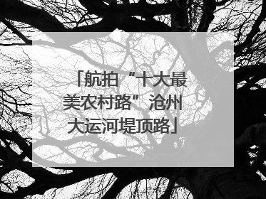 航拍“十大最美农村路”沧州大运河堤顶路
