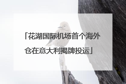 花湖国际机场首个海外仓在意大利揭牌投运