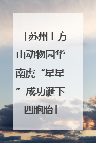 苏州上方山动物园华南虎“星星”成功诞下四胞胎