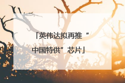 英伟达拟再推“中国特供”芯片