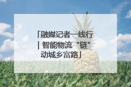 融媒记者一线行｜智能物流“链”动城乡富路