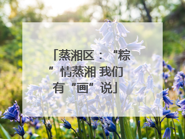 蒸湘区：“粽”情蒸湘 我们有“画”说