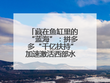 藏在鱼缸里的“蓝海”：拼多多“千亿扶持”加速激活西部水族大市场