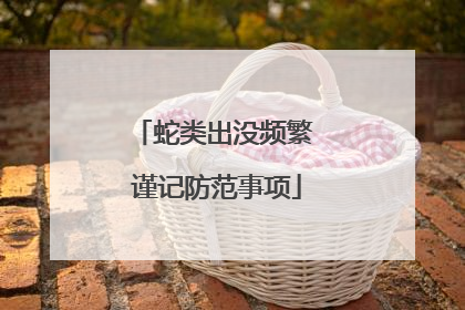 蛇类出没频繁 谨记防范事项