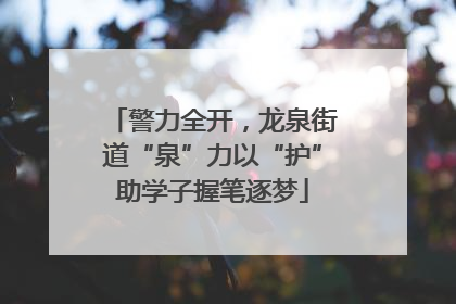 警力全开，龙泉街道“泉”力以“护”助学子握笔逐梦