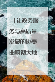 让政务服务与高质量发展的协奏曲响彻大地