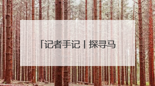 记者手记丨探寻马来西亚霹雳州锡矿上的华人奋斗史
