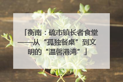 衡南：硫市镇长者食堂——从“孤独餐桌”到文明的“温馨港湾”