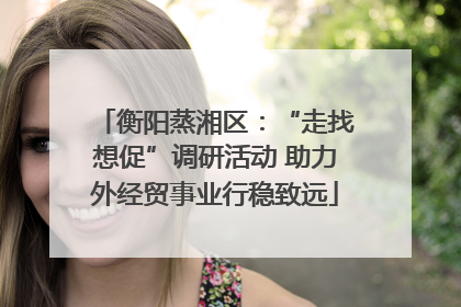 衡阳蒸湘区：“走找想促”调研活动 助力外经贸事业行稳致远