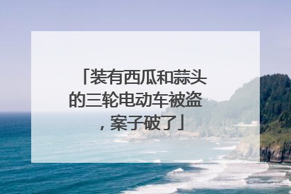 装有西瓜和蒜头的三轮电动车被盗，案子破了