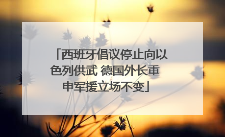 西班牙倡议停止向以色列供武 德国外长重申军援立场不变
