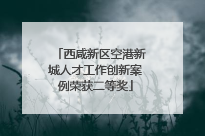 西咸新区空港新城人才工作创新案例荣获二等奖