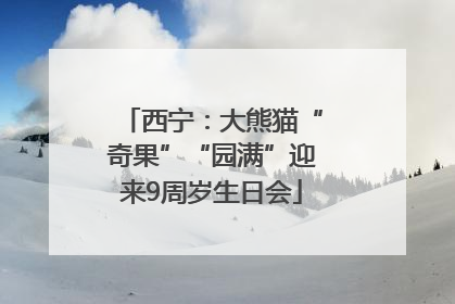西宁：大熊猫“奇果”“园满”迎来9周岁生日会