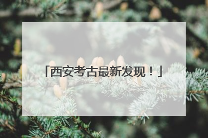 西安考古最新发现！