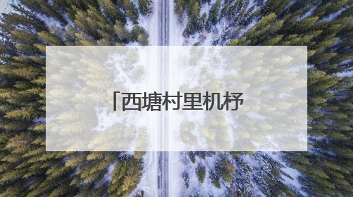 西塘村里机杼声 “缝”出共富新图景