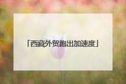 西藏外贸跑出加速度