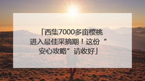 西集7000多亩樱桃进入最佳采摘期！这份“安心攻略”请收好