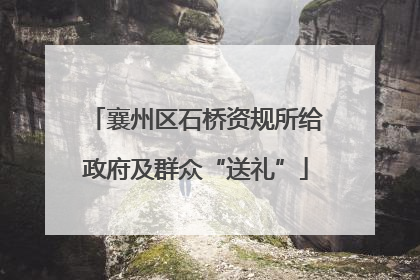 襄州区石桥资规所给政府及群众“送礼”