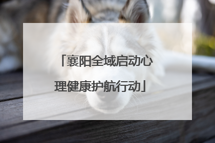 襄阳全域启动心理健康护航行动