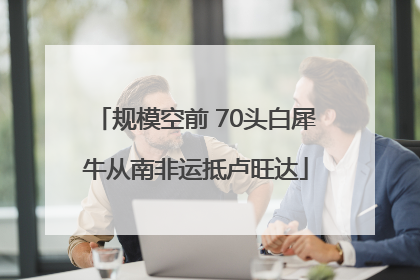 规模空前 70头白犀牛从南非运抵卢旺达