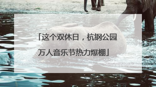 这个双休日，杭钢公园万人音乐节热力爆棚