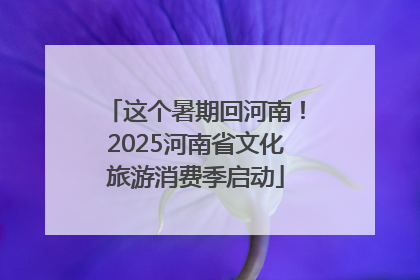 这个暑期回河南！2025河南省文化旅游消费季启动