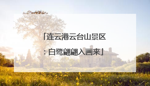 连云港云台山景区：白鹭翩翩入画来