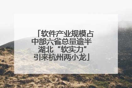 软件产业规模占中部六省总量逾半 湖北“软实力”引来杭州两小龙