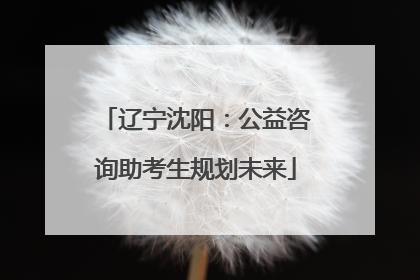 辽宁沈阳：公益咨询助考生规划未来