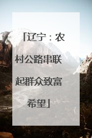 辽宁：农村公路串联起群众致富希望
