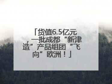 货值6.5亿元，一批成都“新津造”产品组团“飞向”欧洲！