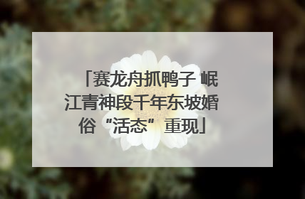 赛龙舟抓鸭子 岷江青神段千年东坡婚俗“活态”重现
