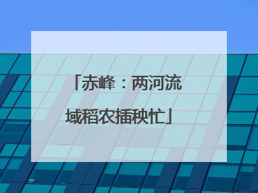 赤峰：两河流域稻农插秧忙